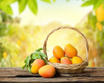 Our-Product-Range-Mango