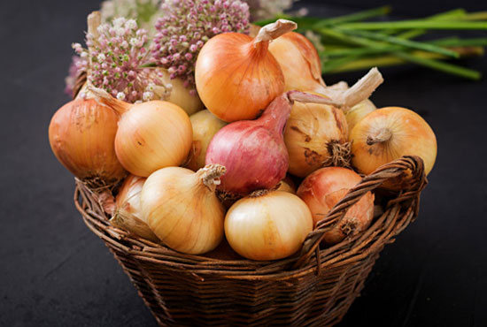 Our-Product-Range-Onions